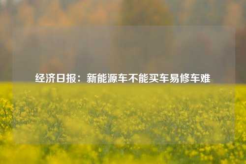 经济日报：新能源车不能买车易修车难