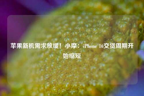 苹果新机需求放缓！小摩：iPhone 16交货周期开始缩短