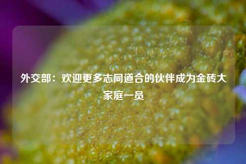 外交部：欢迎更多志同道合的伙伴成为金砖大家庭一员