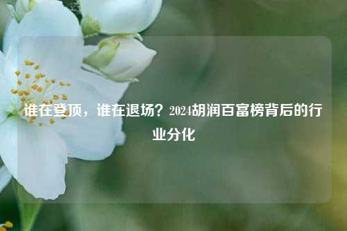 谁在登顶，谁在退场？2024胡润百富榜背后的行业分化