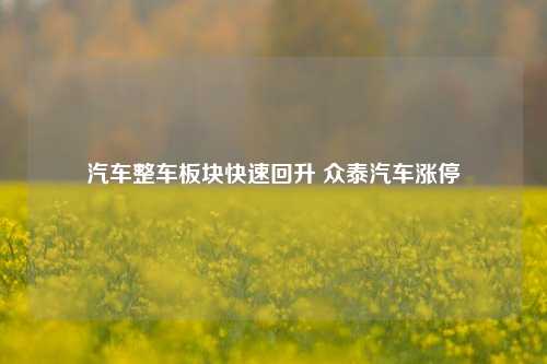 汽车整车板块快速回升 众泰汽车涨停