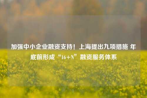 加强中小企业融资支持！上海提出九项措施 年底前形成“16+N”融资服务体系