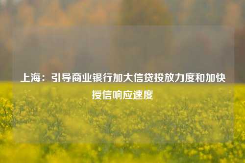 上海：引导商业银行加大信贷投放力度和加快授信响应速度