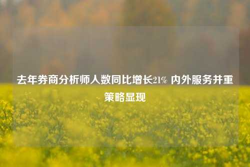 去年券商分析师人数同比增长21% 内外服务并重策略显现