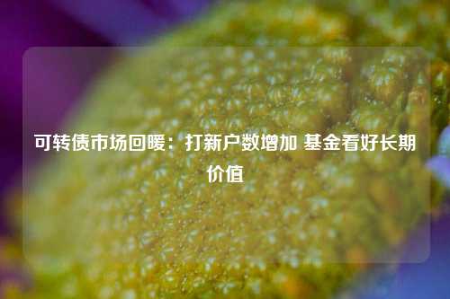 可转债市场回暖：打新户数增加 基金看好长期价值