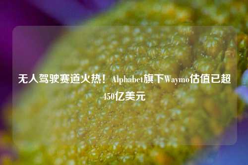 无人驾驶赛道火热！Alphabet旗下Waymo估值已超450亿美元