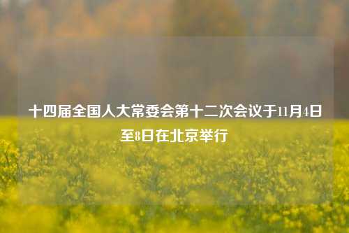 十四届全国人大常委会第十二次会议于11月4日至8日在北京举行