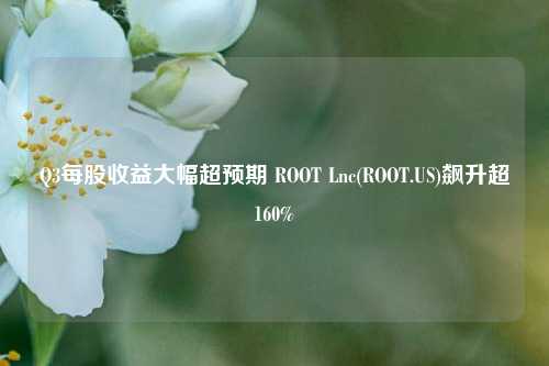 Q3每股收益大幅超预期 ROOT Lnc(ROOT.US)飙升超160%