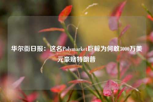 华尔街日报：这名Polymarket巨鲸为何敢3000万美元豪赌特朗普