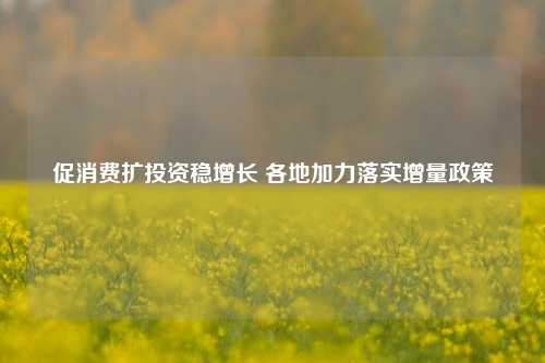 促消费扩投资稳增长 各地加力落实增量政策