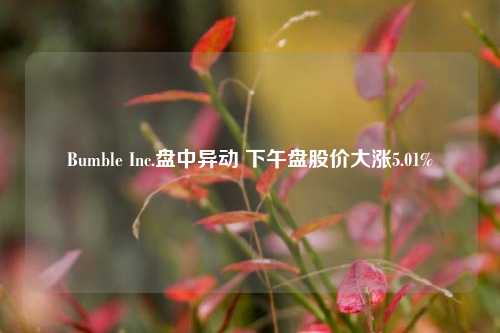 Bumble Inc.盘中异动 下午盘股价大涨5.01%