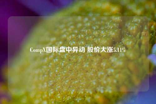 CompX国际盘中异动 股价大涨5.11%