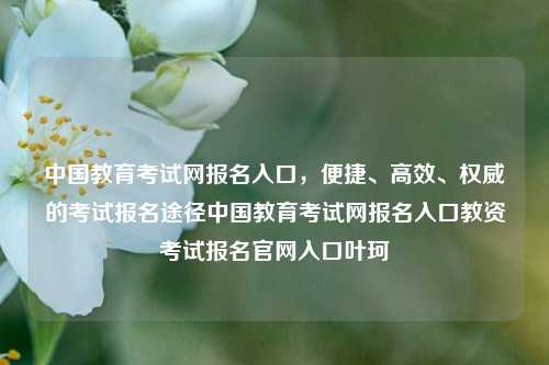 中国教育考试网报名入口，便捷、高效、权威的考试报名途径中国教育考试网报名入口教资考试报名官网入口叶珂