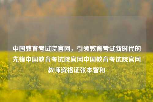 中国教育考试院官网，引领教育考试新时代的先锋中国教育考试院官网中国教育考试院官网教师资格证张本智和