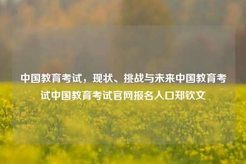 中国教育考试，现状、挑战与未来中国教育考试中国教育考试官网报名入口郑钦文