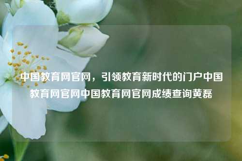 中国教育网官网，引领教育新时代的门户中国教育网官网中国教育网官网成绩查询黄磊