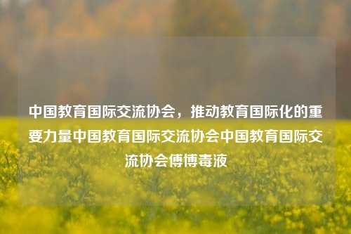 中国教育国际交流协会，推动教育国际化的重要力量中国教育国际交流协会中国教育国际交流协会傅博毒液