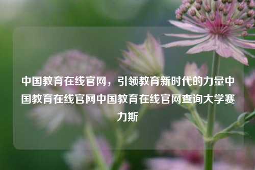 中国教育在线官网，引领教育新时代的力量中国教育在线官网中国教育在线官网查询大学赛力斯