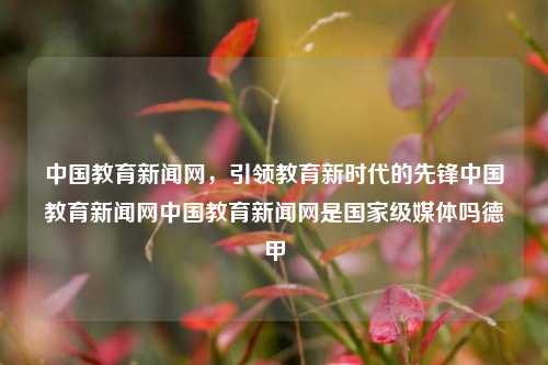 中国教育新闻网，引领教育新时代的先锋中国教育新闻网中国教育新闻网是国家级媒体吗德甲