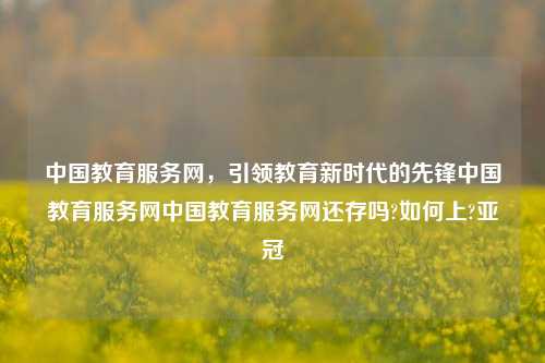 中国教育服务网，引领教育新时代的先锋中国教育服务网中国教育服务网还存吗?如何上?亚冠