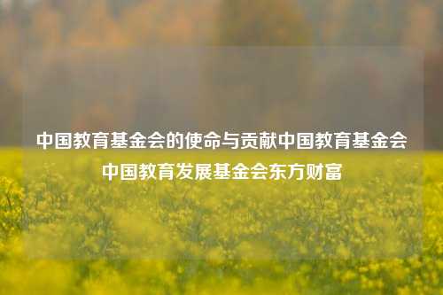 中国教育基金会的使命与贡献中国教育基金会中国教育发展基金会东方财富