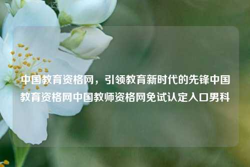 中国教育资格网，引领教育新时代的先锋中国教育资格网中国教师资格网免试认定入口男科