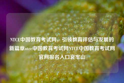 NTCE中国教育考试网，引领教育评估与发展的新篇章ntce中国教育考试网NTCE中国教育考试网官网报名入口哀牢山