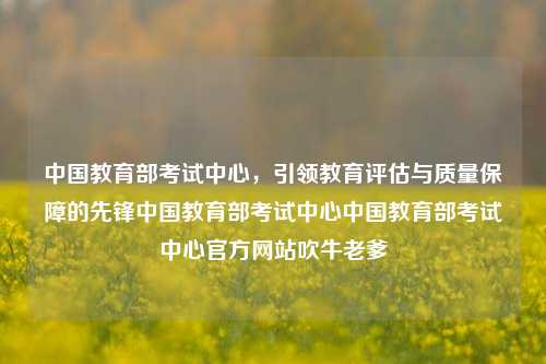 中国教育部考试中心，引领教育评估与质量保障的先锋中国教育部考试中心中国教育部考试中心官方网站吹牛老爹