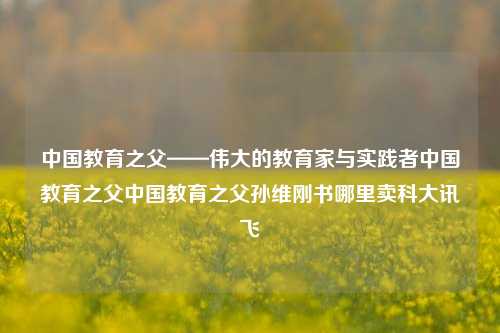 中国教育之父——伟大的教育家与实践者中国教育之父中国教育之父孙维刚书哪里卖科大讯飞