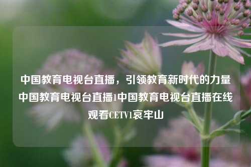 中国教育电视台直播，引领教育新时代的力量中国教育电视台直播1中国教育电视台直播在线观看CETV1哀牢山