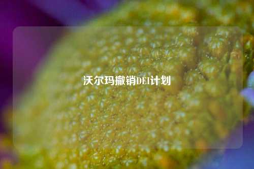 沃尔玛撤销DEI计划