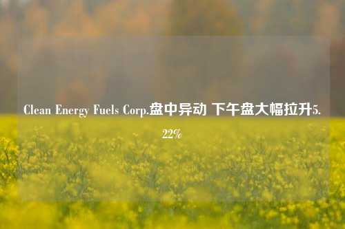 Clean Energy Fuels Corp.盘中异动 下午盘大幅拉升5.22%