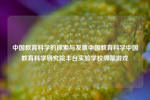 中国教育科学的探索与发展中国教育科学中国教育科学研究院丰台实验学校绑架游戏