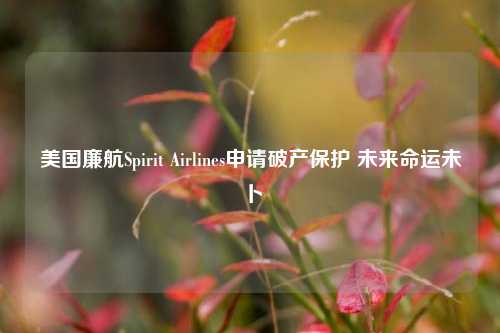 美国廉航Spirit Airlines申请破产保护 未来命运未卜