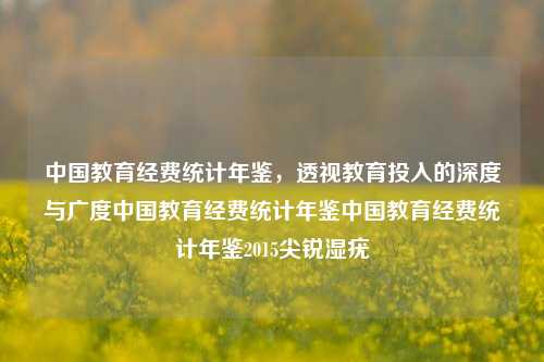 中国教育经费统计年鉴，透视教育投入的深度与广度中国教育经费统计年鉴中国教育经费统计年鉴2015尖锐湿疣