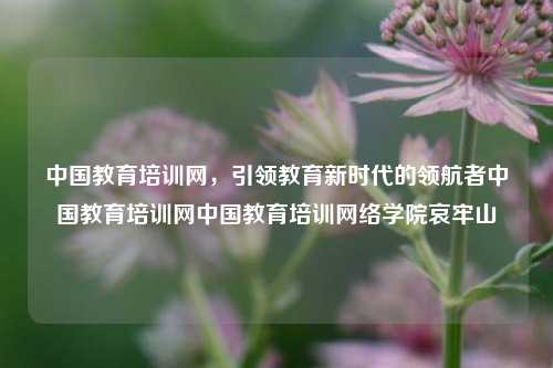 中国教育培训网，引领教育新时代的领航者中国教育培训网中国教育培训网络学院哀牢山