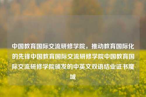 中国教育国际交流研修学院，推动教育国际化的先锋中国教育国际交流研修学院中国教育国际交流研修学院颁发的中英文双语结业证书魔域