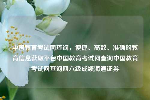 中国教育考试网查询，便捷、高效、准确的教育信息获取平台中国教育考试网查询中国教育考试网查询四六级成绩海通证券