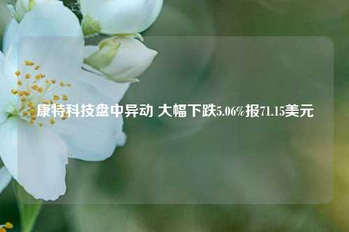 康特科技盘中异动 大幅下跌5.06%报71.15美元