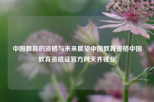 中国教育的资格与未来展望中国教育资格中国教育资格证官方网天齐锂业