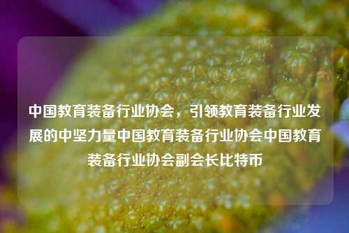 中国教育装备行业协会，引领教育装备行业发展的中坚力量中国教育装备行业协会中国教育装备行业协会副会长比特币