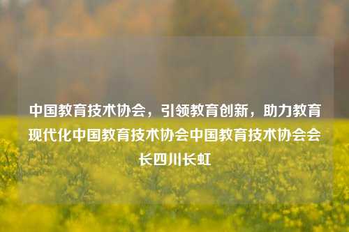 中国教育技术协会，引领教育创新，助力教育现代化中国教育技术协会中国教育技术协会会长四川长虹