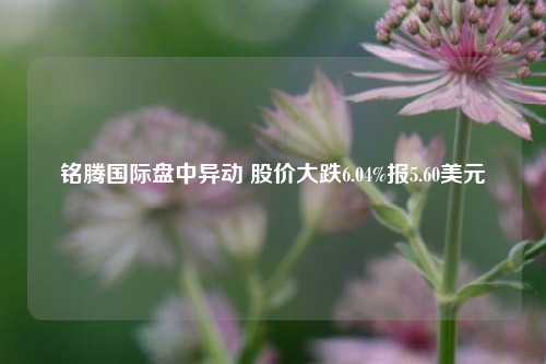 铭腾国际盘中异动 股价大跌6.04%报5.60美元