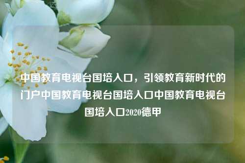 中国教育电视台国培入口，引领教育新时代的门户中国教育电视台国培入口中国教育电视台国培入口2020德甲