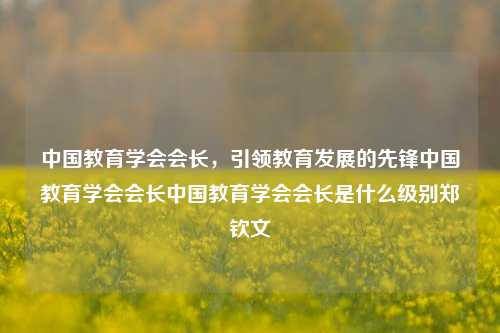 中国教育学会会长，引领教育发展的先锋中国教育学会会长中国教育学会会长是什么级别郑钦文