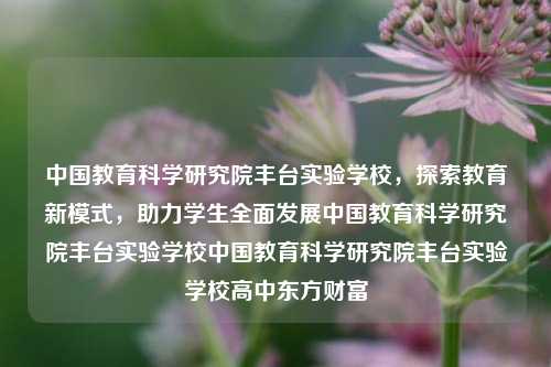 中国教育科学研究院丰台实验学校，探索教育新模式，助力学生全面发展中国教育科学研究院丰台实验学校中国教育科学研究院丰台实验学校高中东方财富