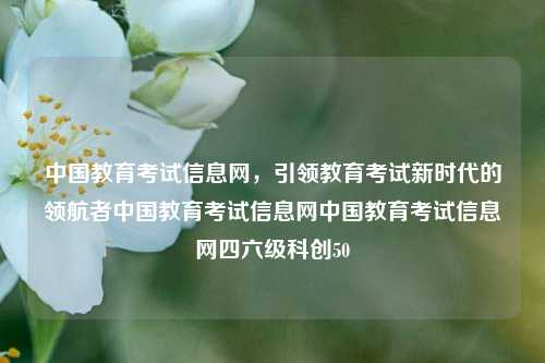 中国教育考试信息网，引领教育考试新时代的领航者中国教育考试信息网中国教育考试信息网四六级科创50