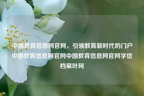 中国教育信息网官网，引领教育新时代的门户中国教育信息网官网中国教育信息网官网学信档案叶珂