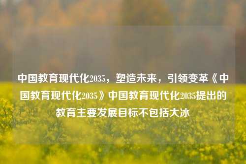 中国教育现代化2035，塑造未来，引领变革《中国教育现代化2035》中国教育现代化2035提出的教育主要发展目标不包括大冰