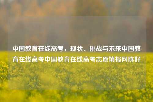 中国教育在线高考，现状、挑战与未来中国教育在线高考中国教育在线高考志愿填报网陈好